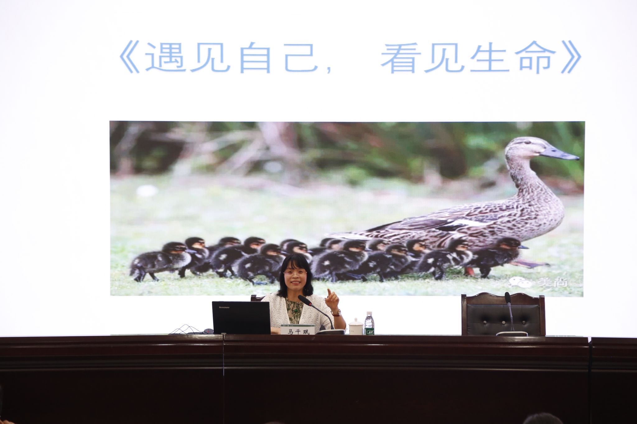 足球世俱杯无插件视频直播